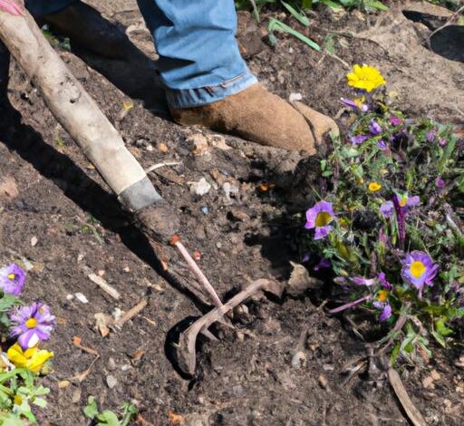 Gardening Tool Hoe