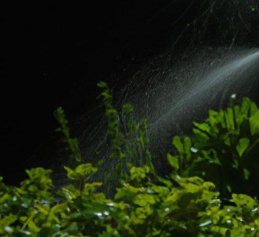 Should Plants Be Watered At Night