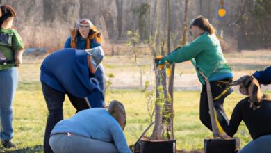 Who Plants Trees Near Me